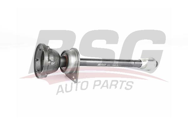 BSG 90350021 Aks Mili