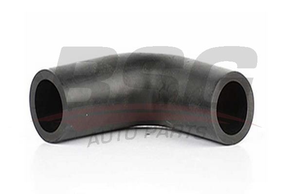 BSG 65720109 Motor Havalandırma Hortumu