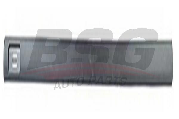 BSG 65925013 Kapı Bandı Ön Sağ