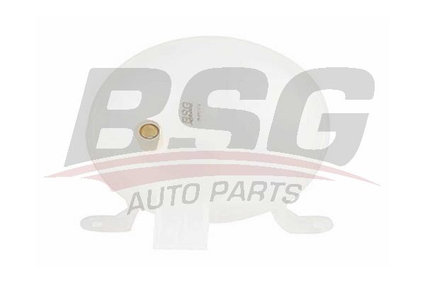 BSG 65550012 Radyatör Yedek Su Deposu