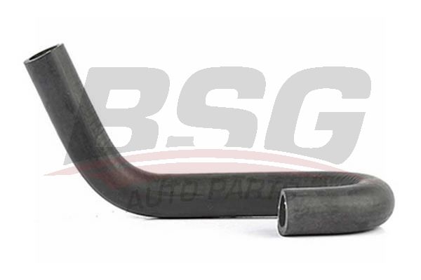 BSG 65720083 Termostat Hortumu