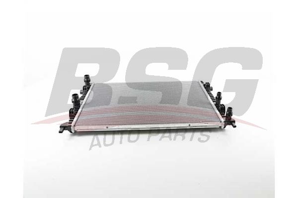 BSG 90520035 Su Radyatörü