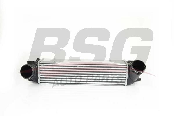BSG 15535001 Turbo Radyatörü - . Görsel