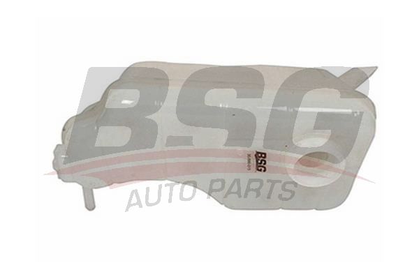 BSG 30550015 Radyatör Yedek Su Deposu - . Görsel