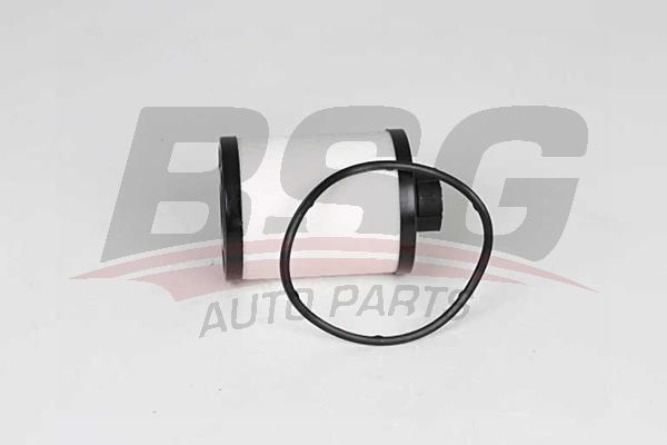 BSG 25130006 Yakıt Filtresi