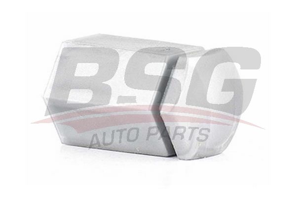 BSG 65230004 Bijon Kapağı - . Görsel