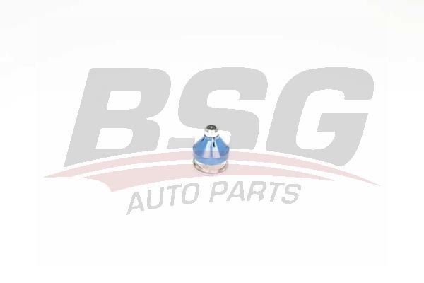 BSG 75310044 Rotil Alt