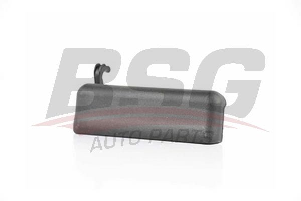 BSG 30970038 Kapı Dış Açma Kolu Sağ