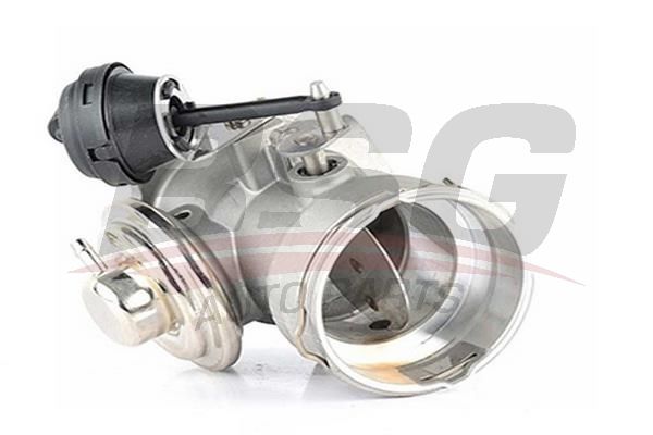 BSG 90836013 Egr Valfi - . Görsel