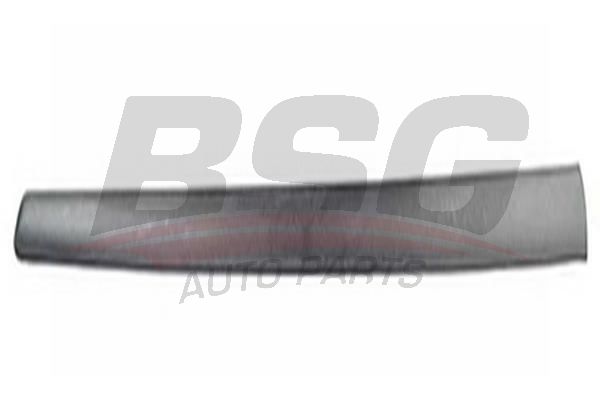 BSG 70924013 Kapı Bandı Ön Sağ