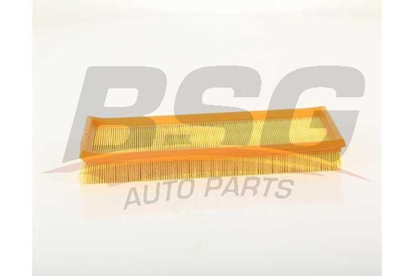 BSG 30135042 Hava Filtresi