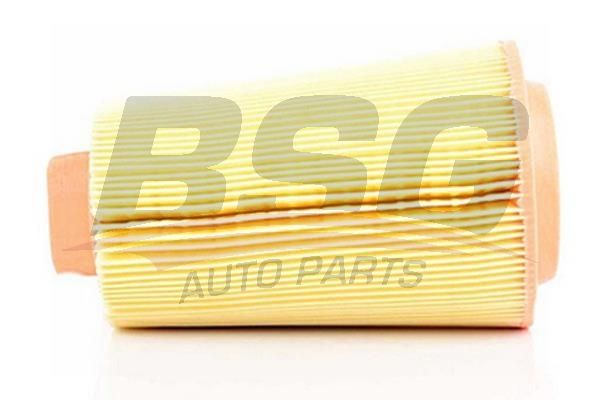 BSG 60135007 Hava Filtresi