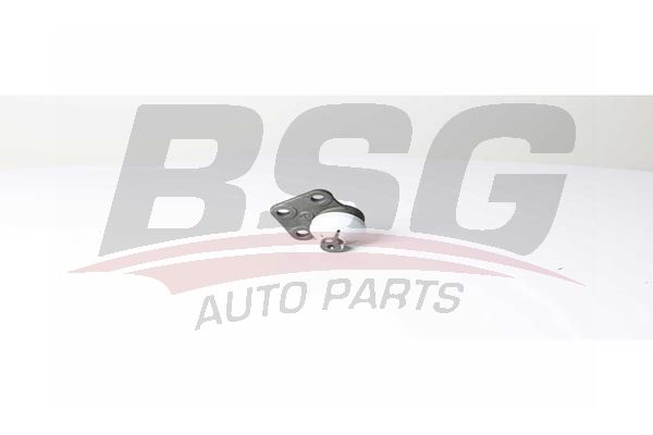 BSG 60310290 Rotil Alt - . Görsel