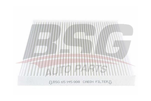 BSG 65145008 Polen Filtresi - . Görsel