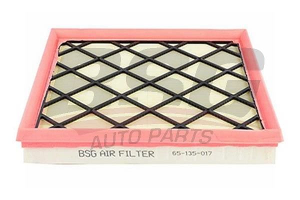 BSG 65135017 Hava Filtresi