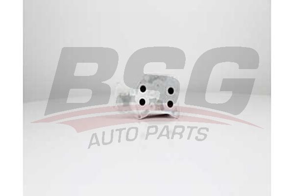 BSG 15506027 Yağ Radyatörü - . Görsel
