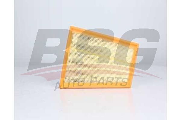 BSG 60135042 Hava Filtresi