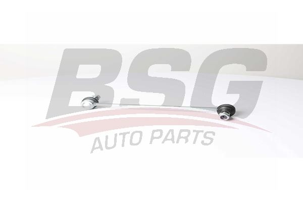 BSG 40310148 Viraj Askı Rotu Ön