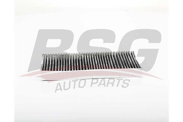BSG 70145020 Polen Filtresi