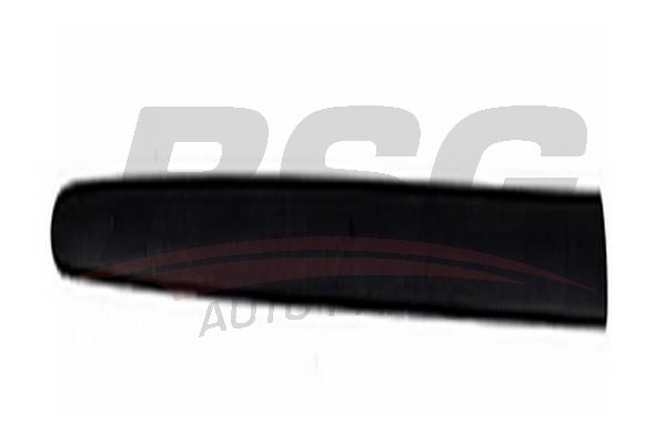 BSG 70924009 Kapı Bandı Ön Sağ