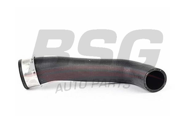 BSG 90720054 Turbo Hortumu