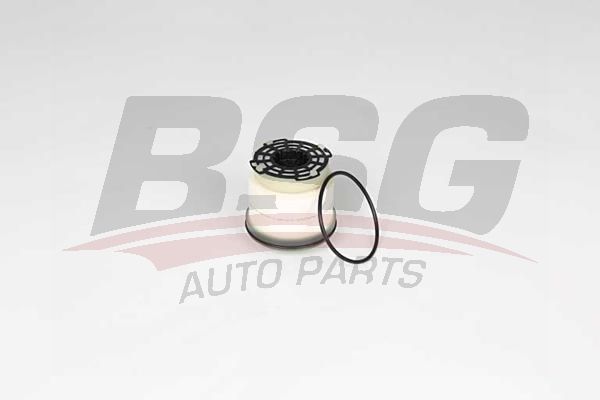 BSG 30130017 Yakıt Filtresi