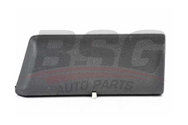 BSG 65926012 Çamurluk Bandı Ön Sağ