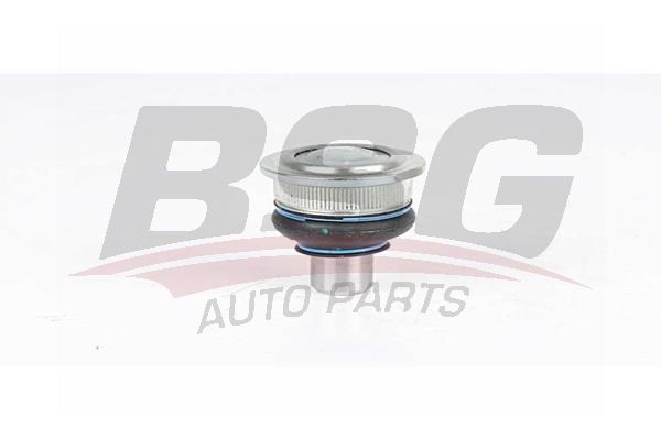 BSG 75310047 Rotil Alt - . Görsel