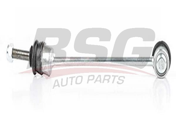BSG 60310189 Viraj Askı Rotu Ön Sağ