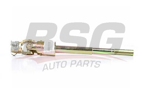 BSG 70365001 Direksiyon Mafsalı - . Görsel