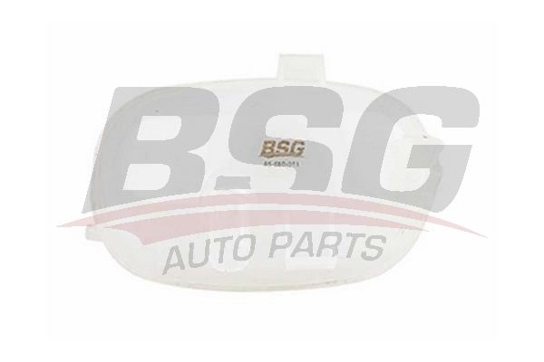 BSG 65550011 Radyatör Yedek Su Deposu - . Görsel