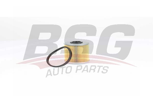 BSG 75130011 Yakıt Filtresi