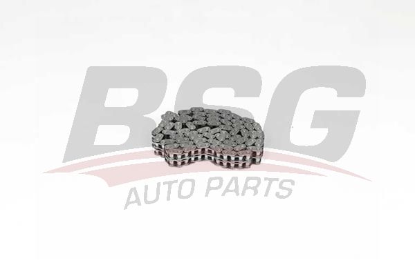 BSG 60105008 Eksantrik Zinciri - 1. Görsel