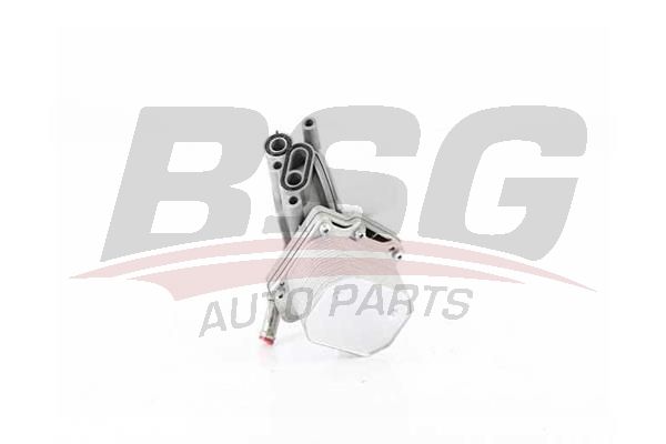 BSG 30506006 Yağ Soğutucu