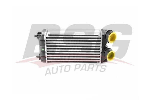 BSG 70535009 Turbo Radyatörü