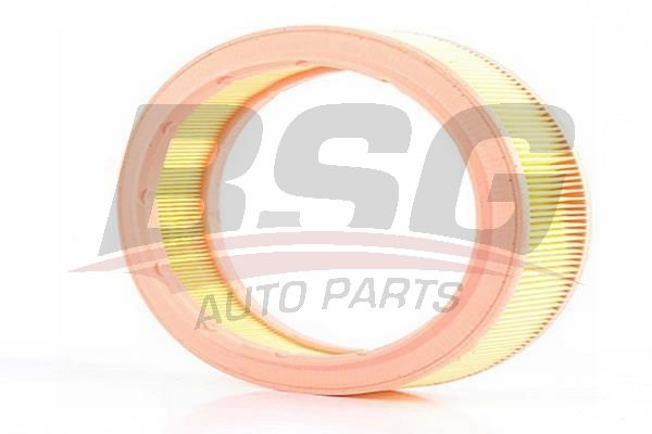 BSG 90135003 Hava Filtresi