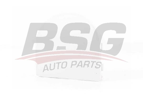 BSG 30922056 Çeki Demir Kapağı Arka