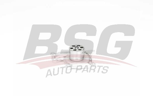 BSG 75500002 Devirdaim