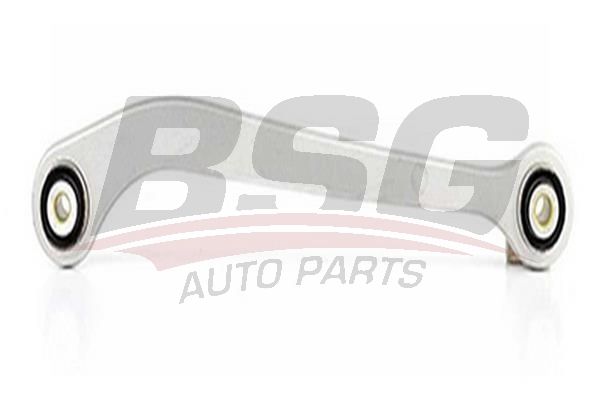 BSG 60310049 Salıncak Arka