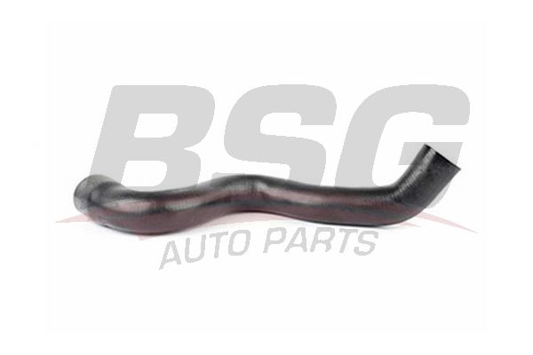 BSG 90720049 Turbo Hortumu - . Görsel