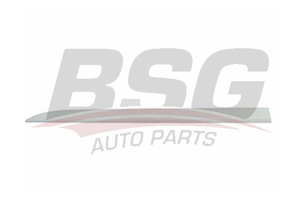 BSG 65925046 Kapı Bandı Arka Sağ