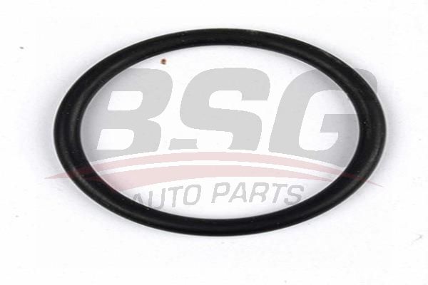 BSG 30230042 Silindir Kapak Su Çıkış Boru Oringi - . Görsel