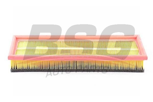 BSG 65135013 Hava Filtresi