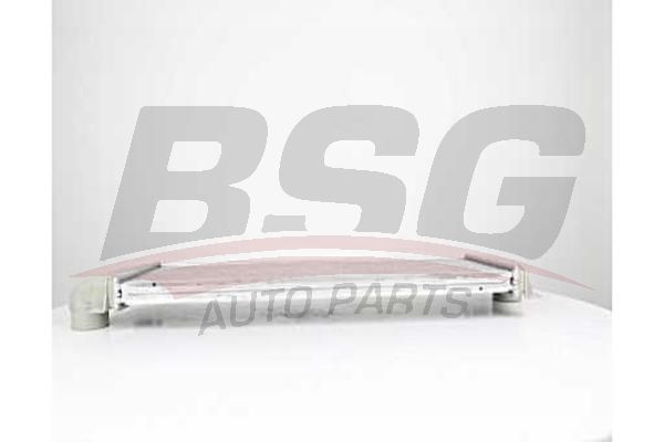 BSG 60535005 Turbo Radyatörü