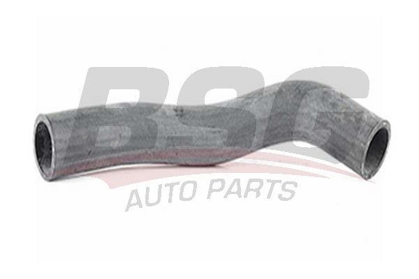 BSG 40720044 Radyatör Hortumu Üst - . Görsel