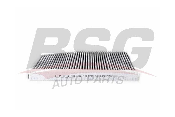 BSG 30145020 Polen Filtresi - . Görsel