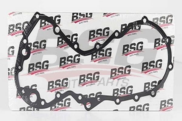 BSG 30116089 Yağ Pompa Contası