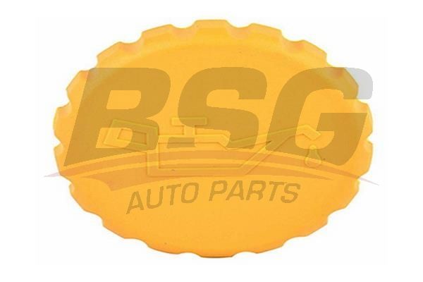 BSG 65700198 Motor Yağ Kapağı