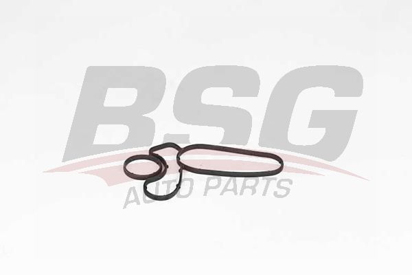 BSG 15116021 Yağ Radyatör Contası