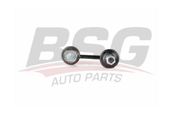 BSG 40310044 Viraj Askı Rotu Arka